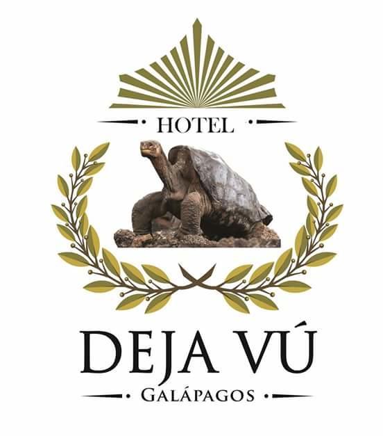 Hotel Dejavu بويرتو أيورا المظهر الخارجي الصورة